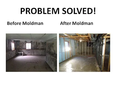 Moldman St. Louis photo