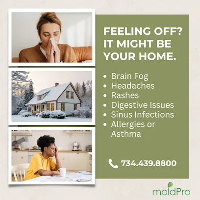 MoldPro photo