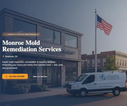 Monroe Mold Remediation Services Bellefonte, DE photo