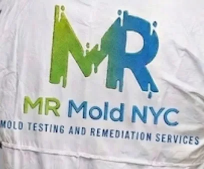 Mr Mold Williamsburg photo