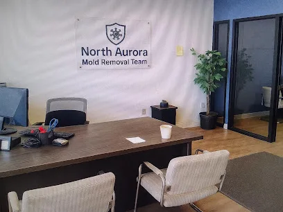 North Aurora Mold Removal Team photo