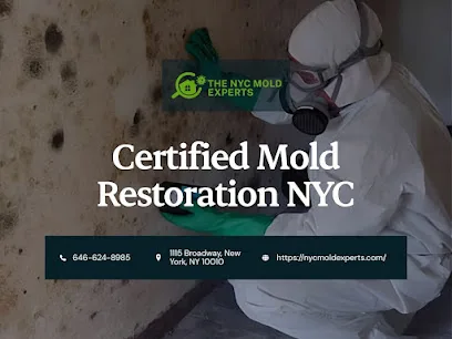 NYC Mold Experts photo