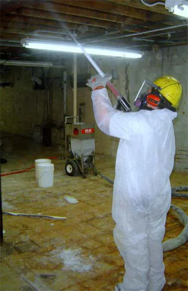 Phoenix Mold Removal photo