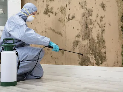 Pittsburgh Mold Remediation Services photo