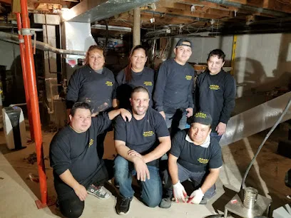 Prime Mold Removal Brooklyn photo