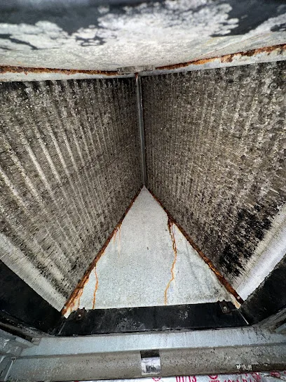 Pure Maintenance Mold Remediation - Orange Park photo