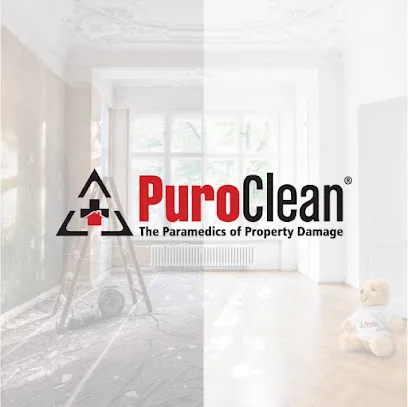 PuroClean of South Chesapeake photo