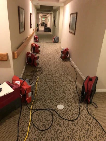 PuroClean Property Restoration photo
