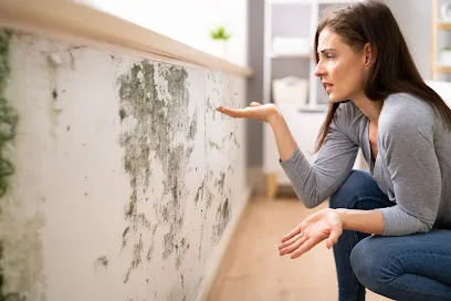 Quality Mold Remediation photo