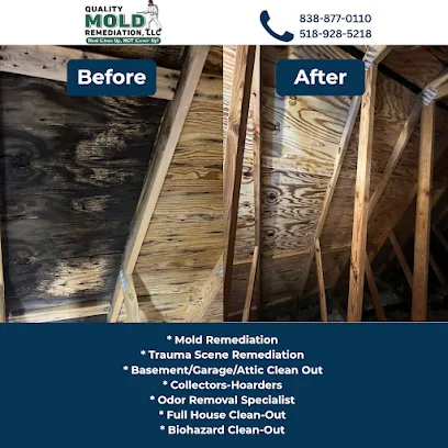 Quality Mold Remediation LLC photo
