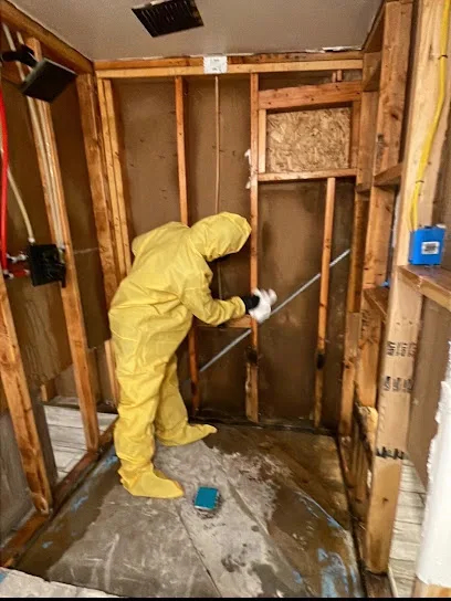 Quick Restore of Tucson, LLC photo