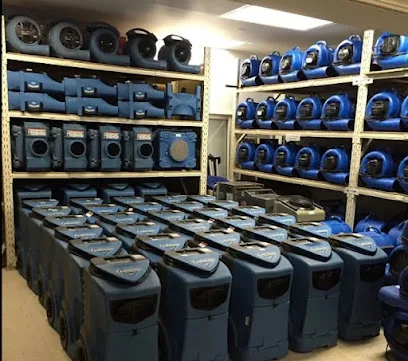 Royal Water Damage Repair Seattle photo
