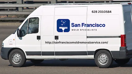 San Francisco Mold Specialists photo