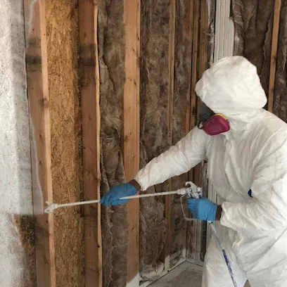 Seattle Mold And Restoration Service photo
