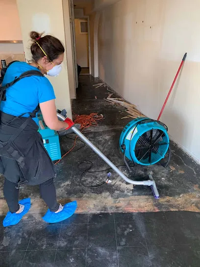 Seattle Mold Experts photo