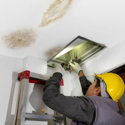 Sentinel Restoration photo