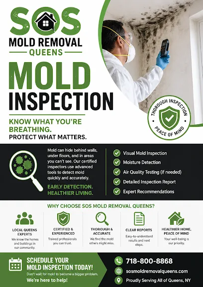 SOS Mold Removal Queens photo