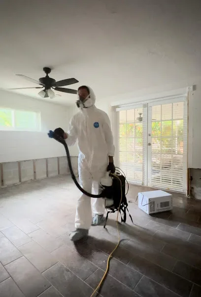 Spora Mold Remediation photo