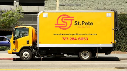 St. Pete Mold Solutions photo