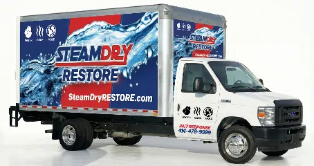 SteamDry Restore photo