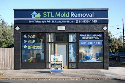 STL Mold Removal photo