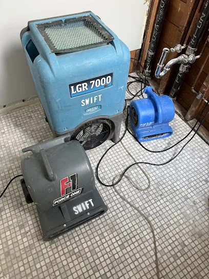 Swift Restoration photo