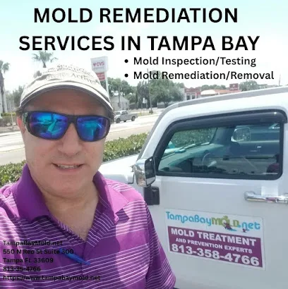 TampaBayMold.net photo