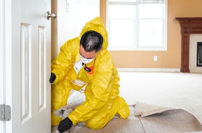 The Mold Removers, LLC photo