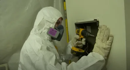 Urgent Mold Removal Miami photo