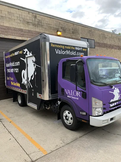 Valor Mold Removal photo