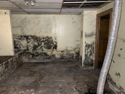 Vanguard Mold Remediation, Inc. photo