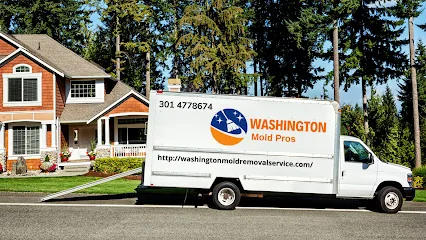 Washington Mold Pros photo